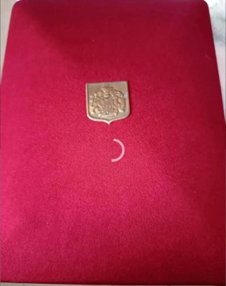 Cjto. Gargantilla+Pendientes Alta Bisutería. NUEVO