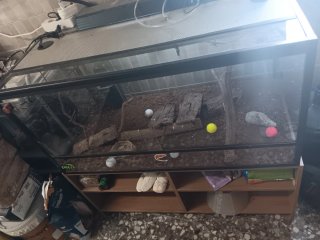 Terrario y mueble auxiliar negro/marrón