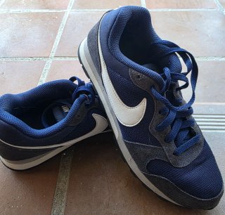 Zapatillas Nike Azul y Gris