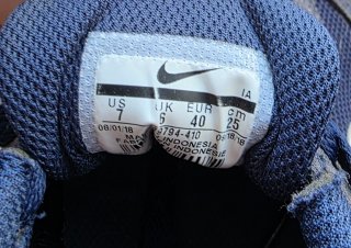 Zapatillas Nike Azul y Gris