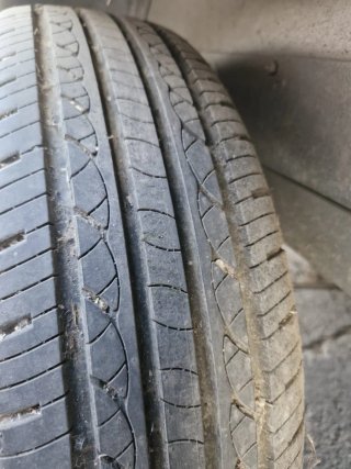 Remolque caballos  Para 2 caballos  De fibra