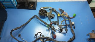 Cableado Suzuki GS500 2001