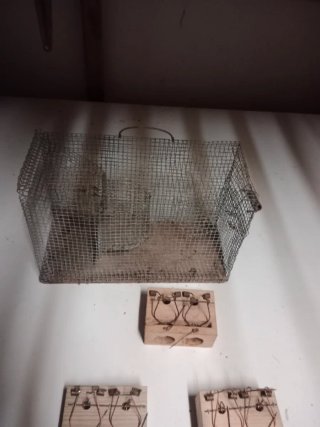 Jaulas para ratas antiguas (lote)