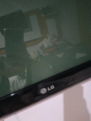Televisor LG 60PK250