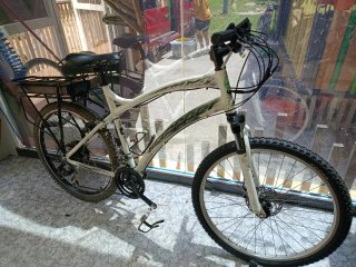 Bicicleta Eléctrica 250W