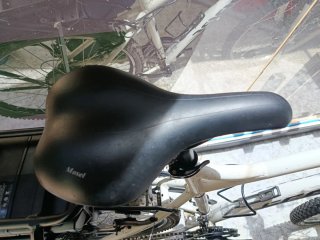 Bicicleta Eléctrica 250W