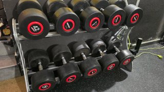 Lote de Mancuernas de Gimnasio