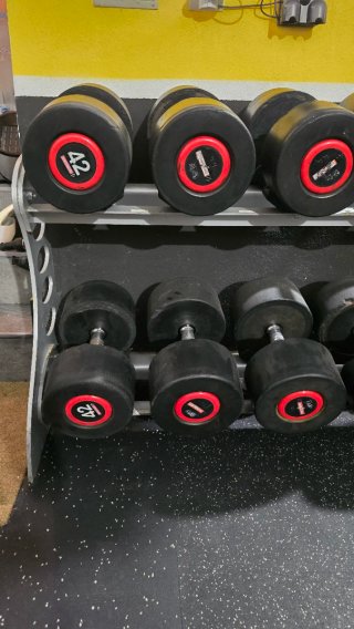 Lote de Mancuernas de Gimnasio