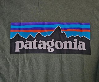 Camiseta Patagonia Manga Larga Verde