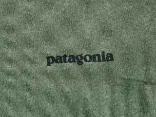 Camiseta Patagonia Manga Larga Verde