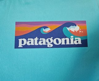 Maglietta Patagonia Blu con Onde