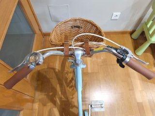 Bicicleta Bobbin Gingersnap 20 Azul turquesa