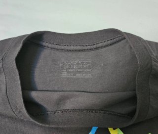 Maglietta Patagonia Logo Montagna Multicolore