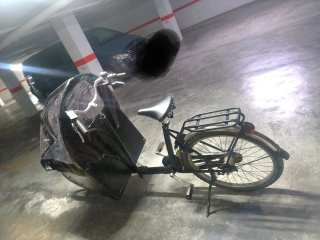 Bicicleta eléctrica tipo holandesa