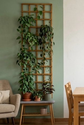 Celosía de madera multifunción