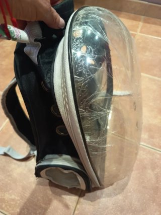 Mochila transportín para gato transparente .