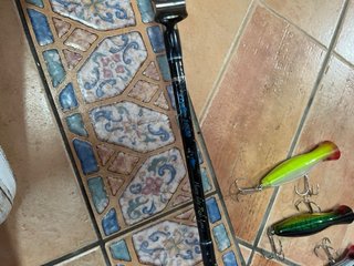 Caña de pescar con carrete y señuelos