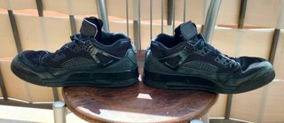 Air Jordan Spizike Low Black Cat