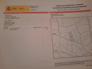 2 Fincas Rústicas Agrarias en Piloña