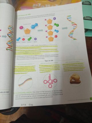 Biología y Geología, 4 Secundaría. SM Revuela.