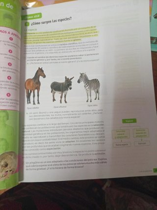 Biología y Geología, 4 Secundaría. SM Revuela.