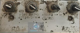 ABSORBEDOR DELANTERO Skoda Fabia (6Y2/6Y3)(01.2000->)