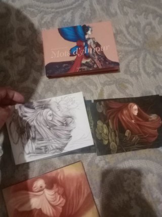 Mots d'amour: Set de 20 Tarjetas de Lujo