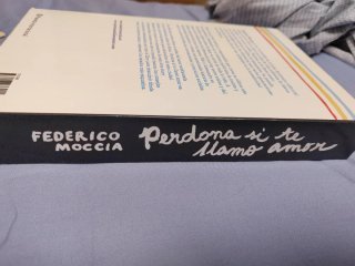 Perdona si te llamo amor