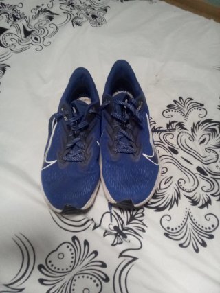 Zapatillas Nike Running Azul