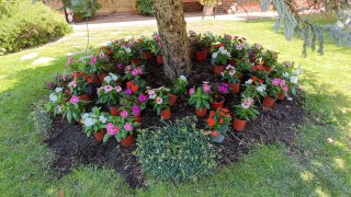Jardinero ofrece mantenimiento de jardines