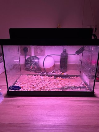 Pecera 40L con accesorios