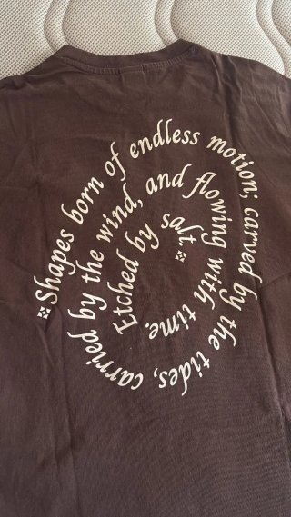 Camiseta Marrón Bershka Talla XS