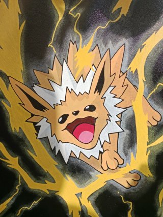 Binder personalizado pokemon