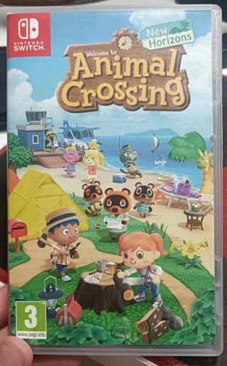 Animal Crossing New Horizons Nintendo Switch