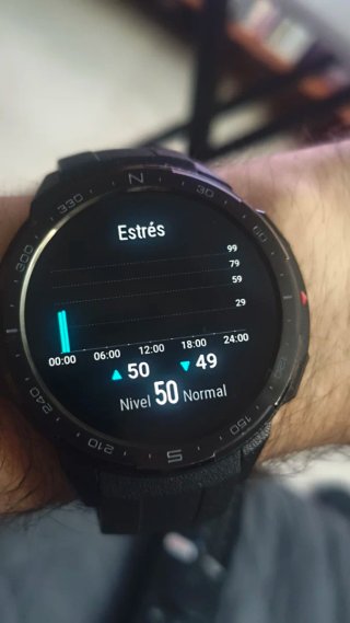 Huawei Honor Watch GS Pro Negro