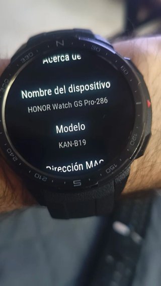 Huawei Honor Watch GS Pro Negro