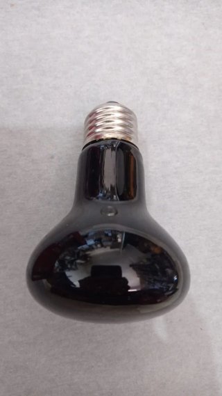 Bombilla Calefactora Nomoy Pet 25W