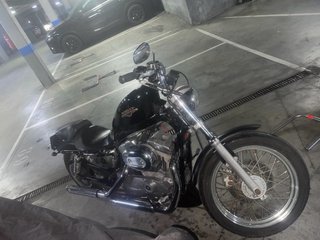 Harley Davidson Sportster 883 Low 2008