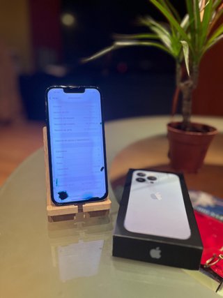 iPhone 13 Pro 256GB