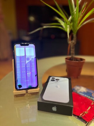 iPhone 13 Pro 256GB