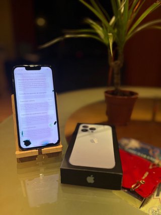 iPhone 13 Pro 256GB
