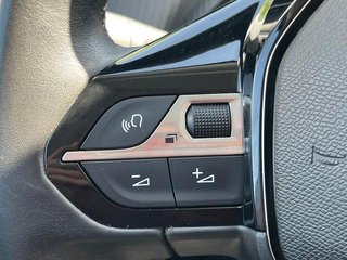 Peugeot 2008 Puretech 100 SANDS Active Pack 75 kW (100 CV)
