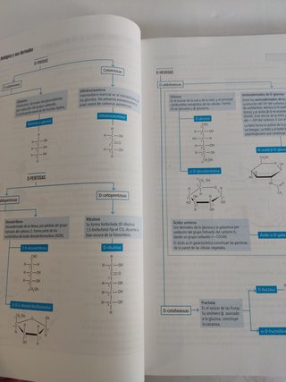 Biología 2º Bach - 9788414044810