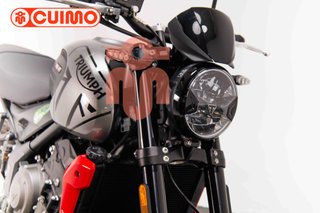 TRIUMPH TRIDENT 660