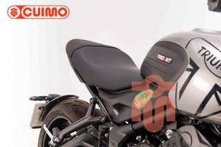 TRIUMPH TRIDENT 660