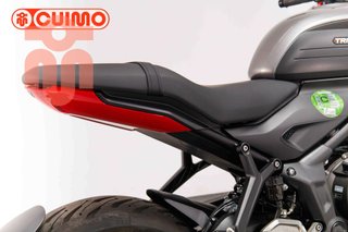 TRIUMPH TRIDENT 660
