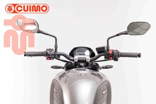 TRIUMPH TRIDENT 660
