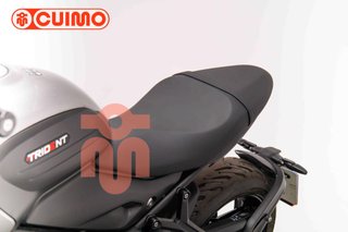 TRIUMPH TRIDENT 660