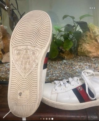 Sneakers Gucci