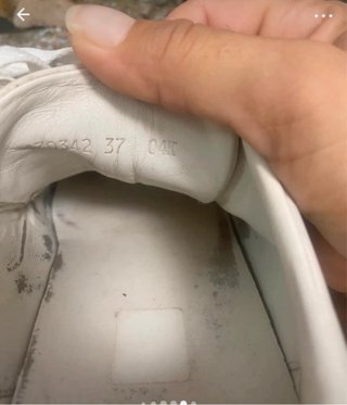 Sneakers Gucci